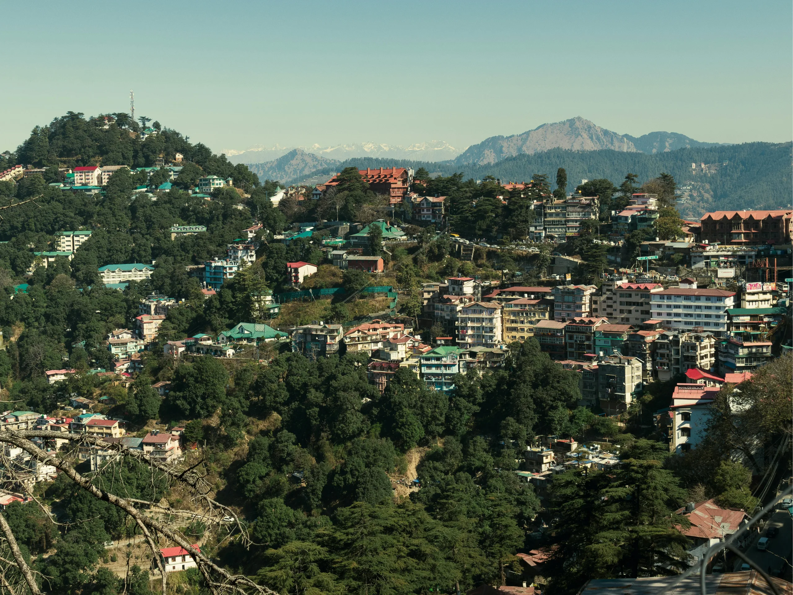 shimla